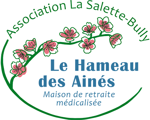 logo ehpad hameau des aines maison de la salette bully